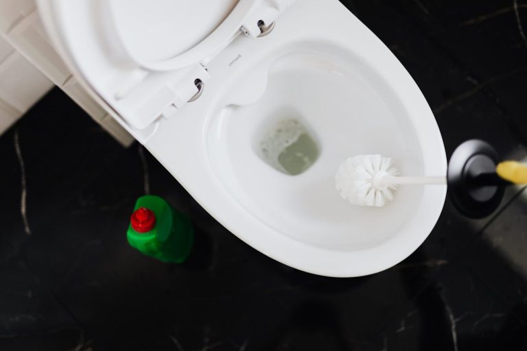 Détartrer les WC